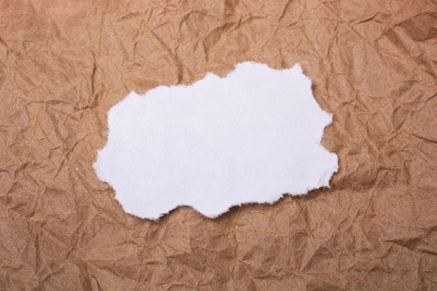 Stück zerrissenes Papier Fetzen im Blick