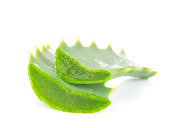 Stücke Aloe Vera isoliert