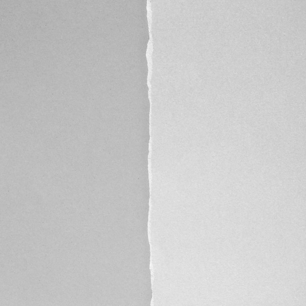 Stücke zerrissener Papiertexturhintergrund mit Kopienraum für Text