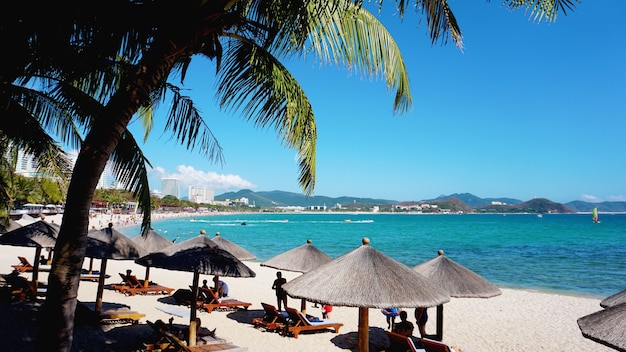 Stühle und Regenschirm In Palm Beach - Tropical Holiday Banner - China, Hainan