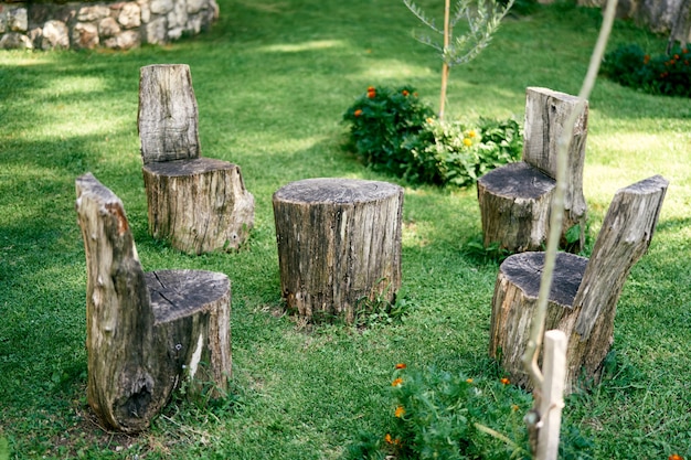 Stümpfe in Form von Stühlen und ein Tisch stehen auf einer grünen Wiese