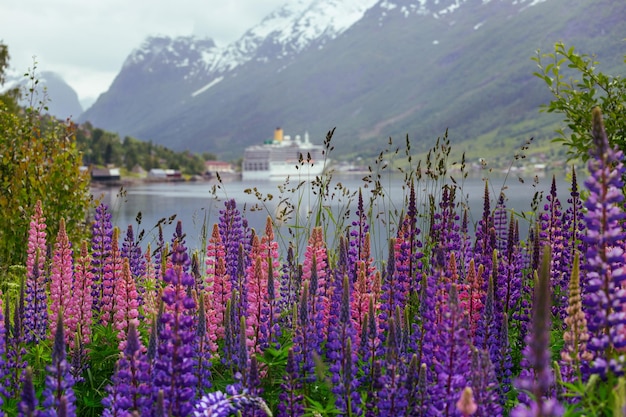 Stürmischer Bergfluss auf dem Hintergrund schneebedeckter Berge, Norwegen