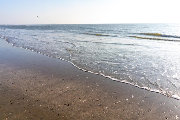 Stürmischer Tag an der Nordsee Nordseestrand Kalter Tag an der Nordsee