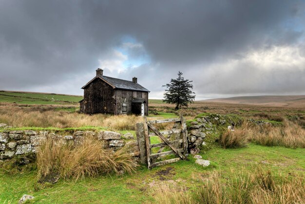 Stürmischer Tag auf Dartmoor