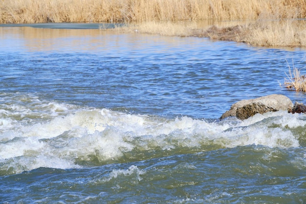 Stürmischer Wasserfluss vor dem Hintergrund von Schilf