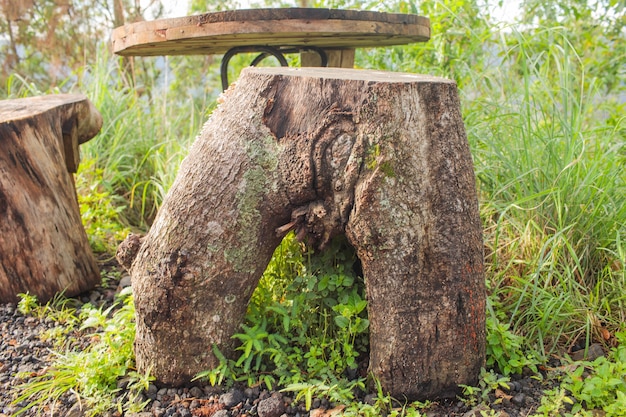 Stumpfmuster auf dem Baum, Frauenfigur.