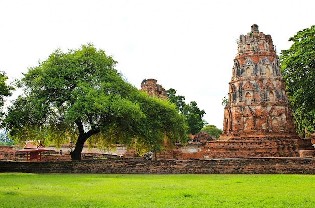 Stupa en Wat Mahathat, Ayutthaya, Tailandia