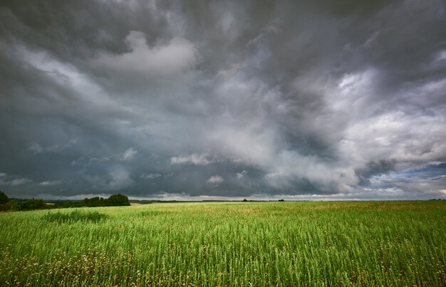 Sturm über die Felder