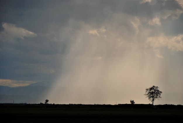 Sturmregen und Hagel