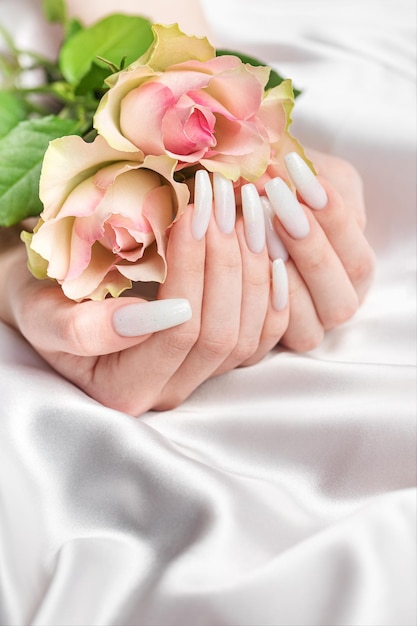 Stylish moda manicure feminina Belas mãos de jovem mulher com manicure branco e rosas em fundo branco de seda