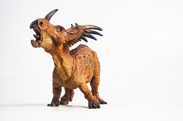 Styracosaurus sobre fondo blanco