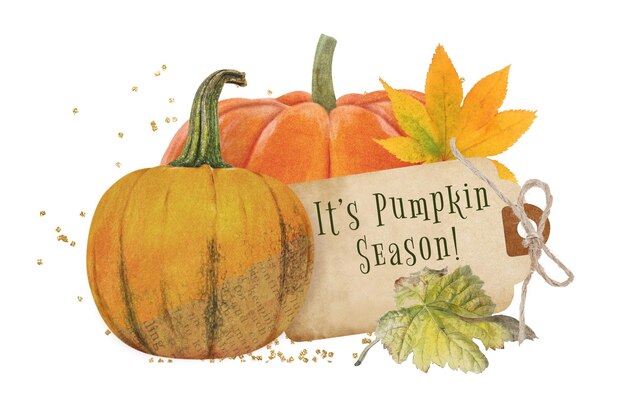 Su temporada de calabazas pegatina de palabras png collage de calabaza de otoño fondo transparente