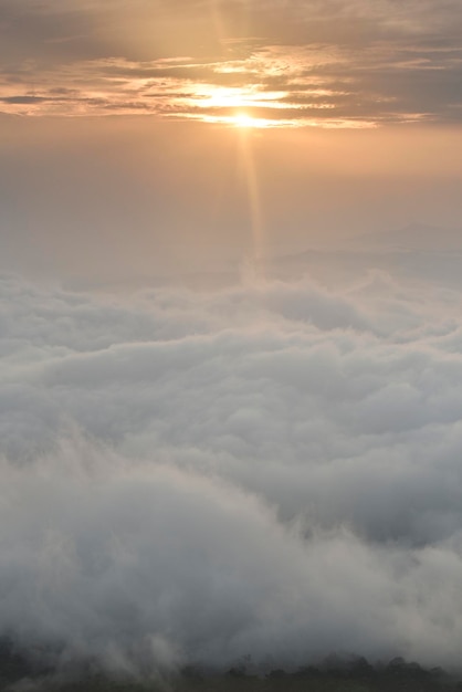 Suave mar de niebla por la mañana.