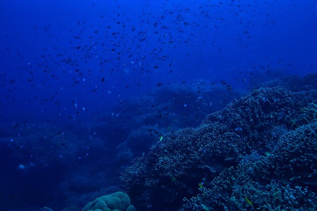 subaquático oceano / paisagem mundo subaquático, cena azul idílio natureza