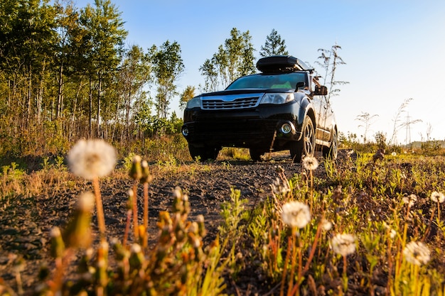 Subaru Forester mit Dachbox am Feldweg im Wald. Blowballs im Vordergrund