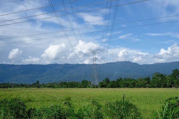 Foto subestação elétrica em campos de arroz com céu azul cercado por montanhas