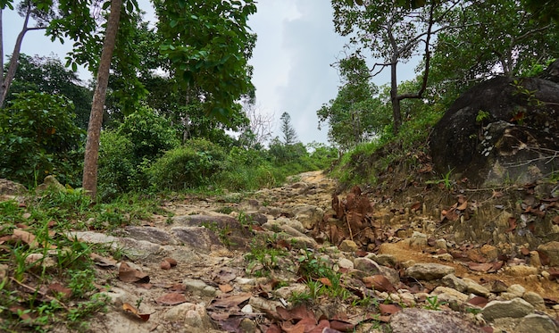 Subindo na colina Khoa Ra, Phangan. Tailândia