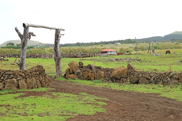 Suburbio Tranquilo con Finca Ganadera en Isla de Pascua Chile