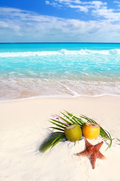 Suco de coquetéis de coco e estrela do mar na praia tropical