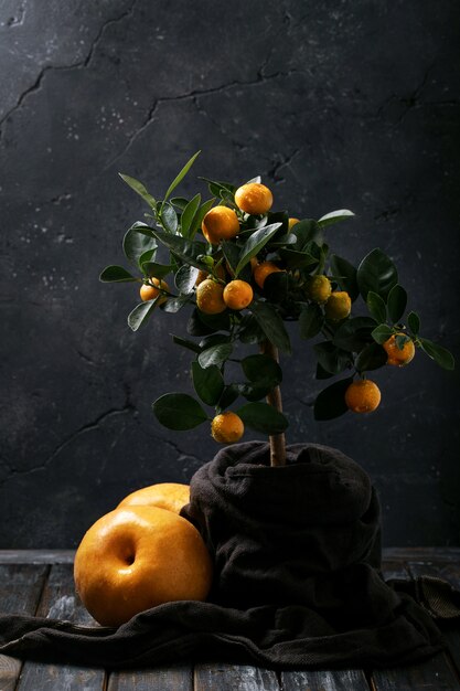 Suco de laranja servido com laranjas