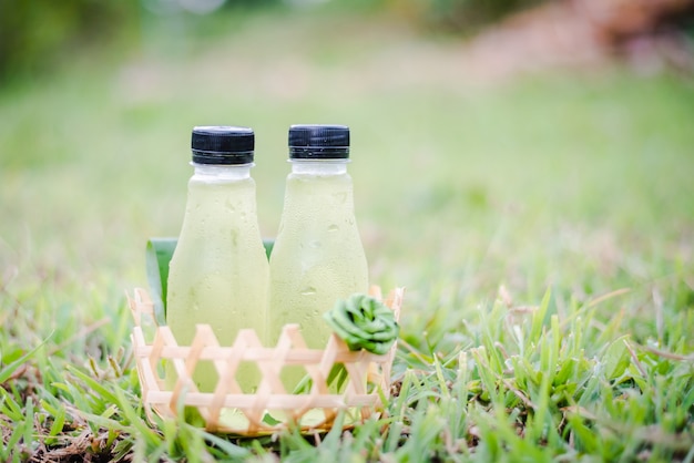 Suco fresco de aloe vera em uma cesta na grama verde