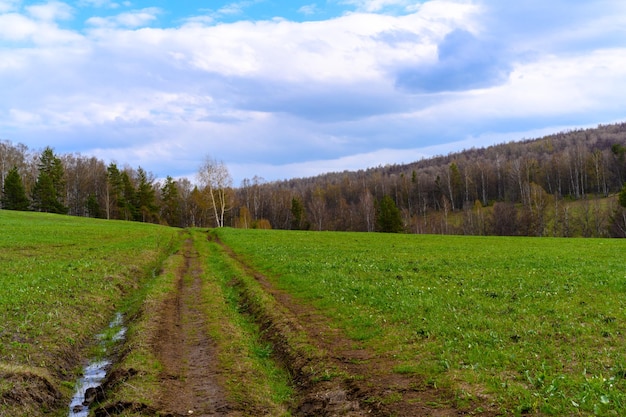 Süd-Ural-Waldstraße mit einzigartiger Landschaftsvegetation und Vielfalt der Natur