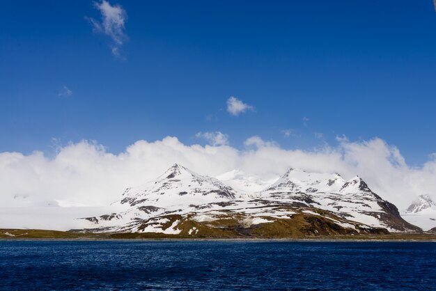 Südgeorgien Landschaft