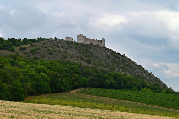 Südmähren Palava Weinregion in der Tschechischen Republik Ruinen einer alten Burg Burg Devickydivci