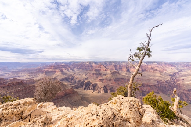 Südrand des Grand Canyon