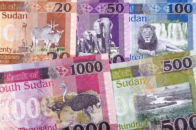 Südsudanesisches Geld ein Geschäftshintergrund mit neuer Banknotenserie