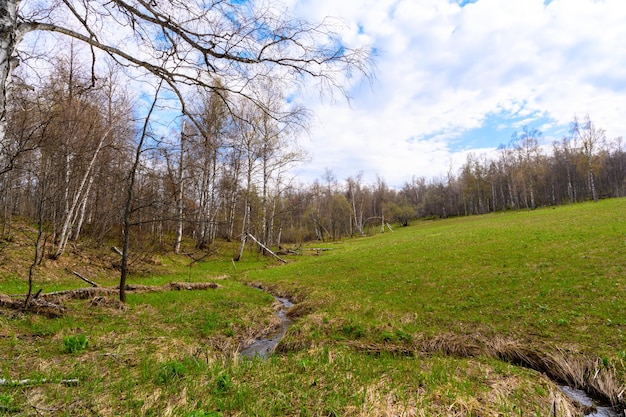 Süduraler rauer Strom mit einer einzigartigen Landschaftsvegetation und Vielfalt der Natur