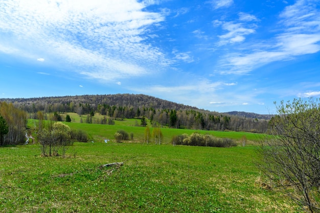 Süduralwald mit einzigartiger Landschaftsvegetation und Vielfalt der Natur