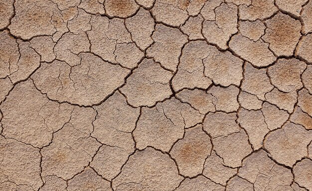 Suelo agrietado debido a la sequía. La estación seca hace que el suelo se seque y se agriete.