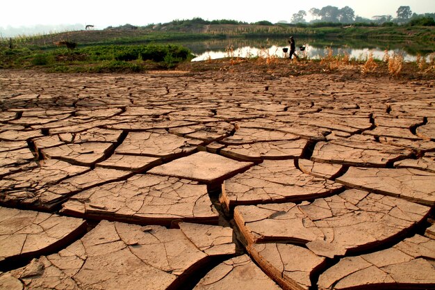 Foto el suelo agrietado por el estanque