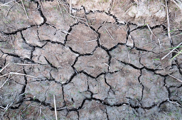 Suelo agrietado y estéril Fondo de textura de suelo seco