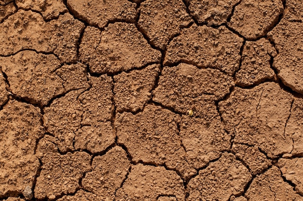 El suelo, agrietado por la sequía, es marrón en forma de fondo