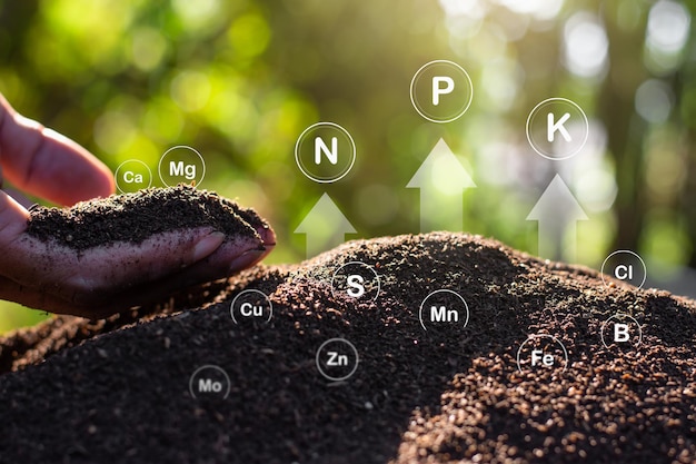 El suelo arcilloso fértil para plantar con la tecnología icónica en suelo
