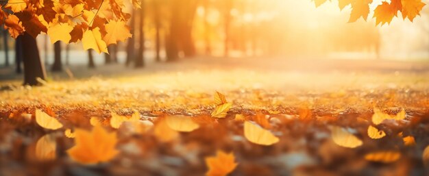 El suelo del bosque cubierto de hojas caídas amarillas y naranjas amplio fondo de otoño generado por IA