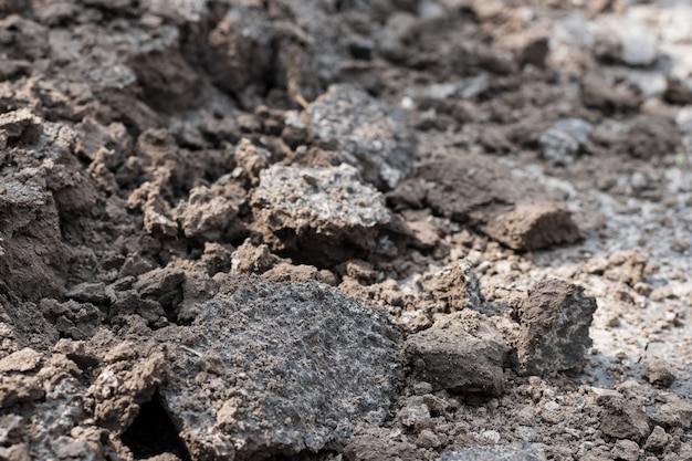 Suelo de campo, textura oscura de la tierra de las tierras de cultivo, foto de cerca