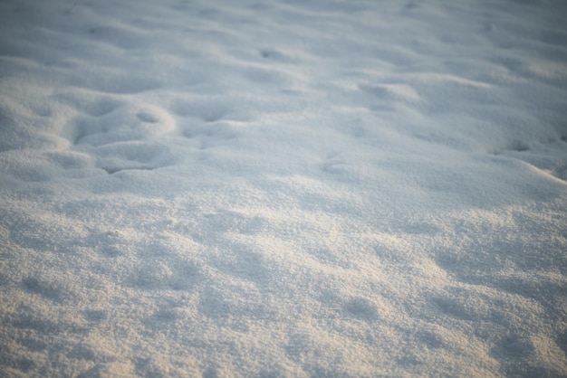 Suelo cubierto de nieve durante los días soleados de invierno Fondo de nieve vacío