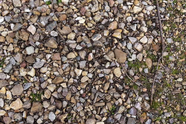 Suelo cubierto de piedras y palos en el campo Fondo de textura de piedra vectorial