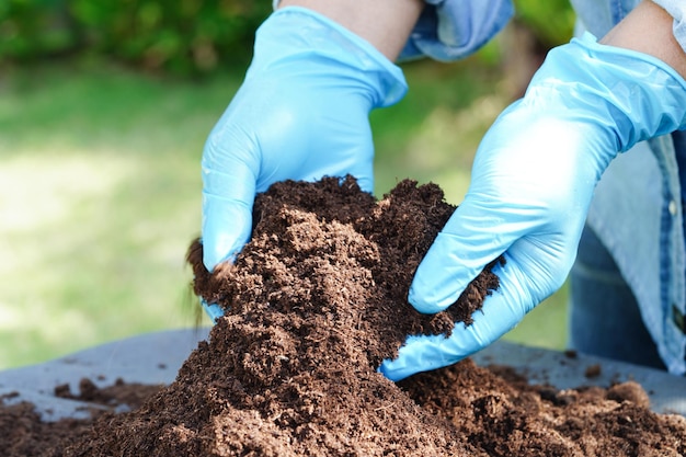 Suelo de fertilizante de musgo de turba para el concepto de ecología de cultivo de plantas de agricultura orgánica