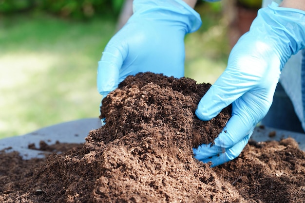 Suelo de fertilizante de musgo de turba para el concepto de ecología de cultivo de plantas de agricultura orgánica