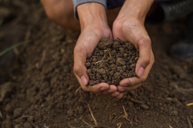 Foto suelo en mano ahuecada del agricultor