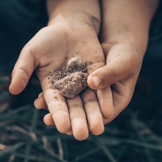 Foto suelo en mano, palma, tierra cultivada, tierra, suelo, jardinería orgánica, agricultura. primer plano de la naturaleza. textura ambiental, patrón. barro en el campo.