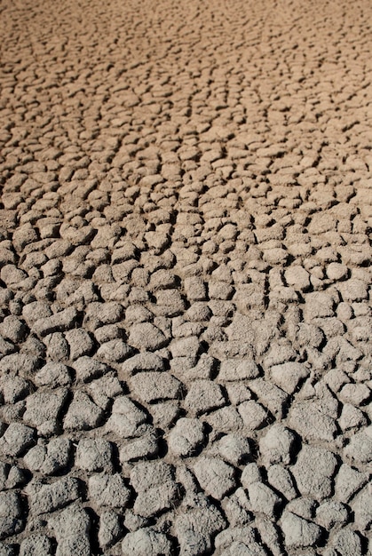 Suelo roto en ambiente pampeano Patagonia Argentina