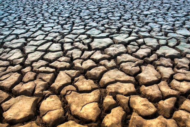 Suelo roto en ambiente pampeano Patagonia Argentina