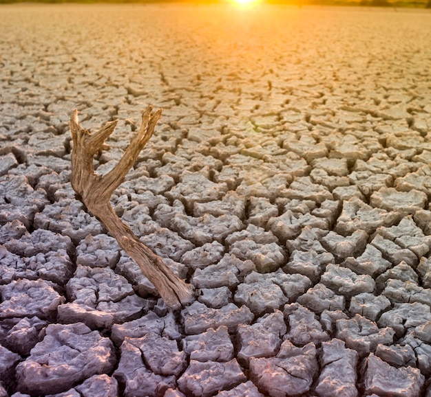 Foto suelo roto en ambiente pampeano patagonia argentina