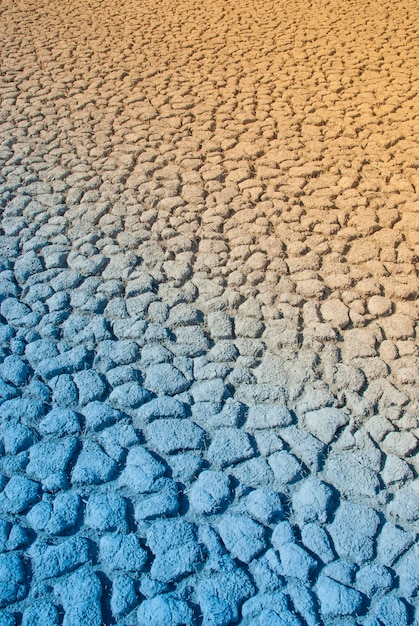 Suelo roto en ambiente pampeano Patagonia Argentina