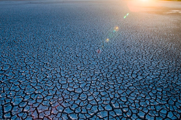 Suelo roto en ambiente pampeano Patagonia Argentina